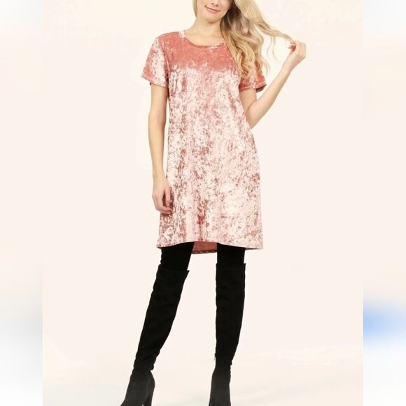NWT R. Vivimos Velvet Shift Dress - Picture 1 of 12